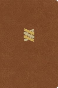 CSB Connecting Scripture New Testament, Brown LeatherTouch