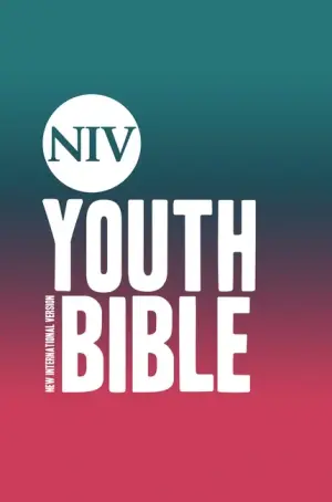 NIV Youth Bible (Hardback)