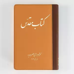 Today's Persian Version Revised Deluxe (Brown)