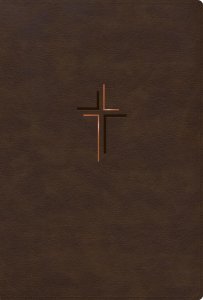 RVR 1960 Biblia Letra Grande, Tamaño Manual
