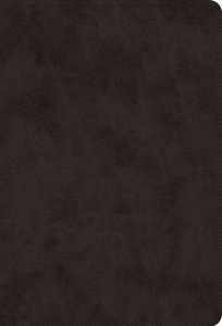 ESV Giant Print Value Thinline Bible (TruTone, Black)