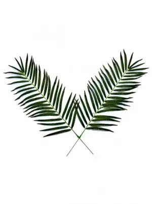 4 Foot Artificial Palm Branch - Single