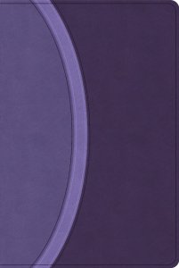 CSB Rainbow Study Bible, Purple Leathertouch