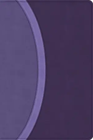 CSB Rainbow Study Bible, Purple Leathertouch