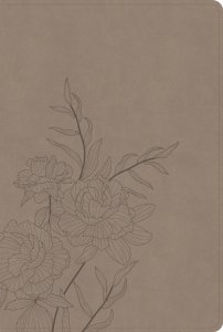 CSB Large Print Thinline Bible, Digital Study Edition