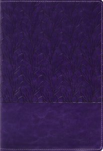 Amplified Holy Bible, Large Print, Leathersoft, Purple