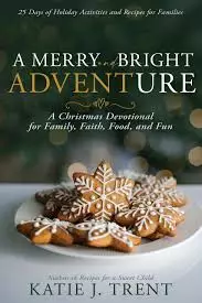 Merry And Bright Adventure, A