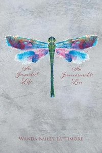 An Imperfect Life, An Immeasurable Love
