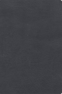 RVR 1960 Biblia De Estudio De Letra Gigante, Negro