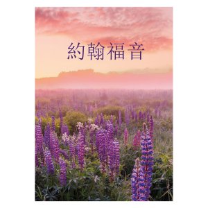 Traditional Chinese Gospel according to John