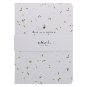 Notebook Set 3pc Amazing Teacher
