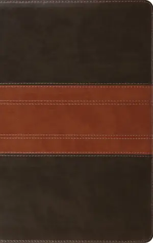 ESV Giant Print Personal Size Bible, Red Letter, Thumb Indexed (TruTone, Forest/Tan, Trail Design)