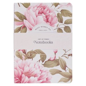 Notebook Set 3pc LG Noble Things Prov. 31:29