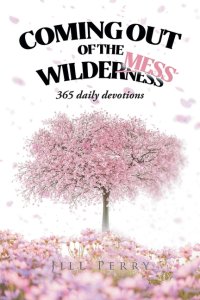 Coming Out of the WilderMess: 365 daily devotions