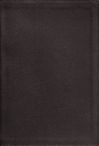 NIV Application Bible, Genuine Leather, Calfskin, Black, Red Letter, Thumb Indexed, Comfort Print