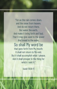 Revival Bulletin: My Word (Package of 100)