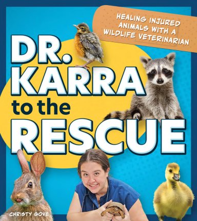Dr.karrato The Rescue