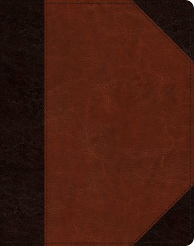 ESV Single Column Journaling Bible (TruTone, Brown/Cordovan, Portfolio Design)