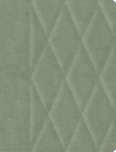 CSB Notetaking Bible, Large Print Edition, Sage Suedesoft