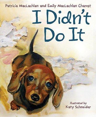 I Didn\'t Do It