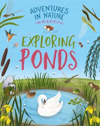 Adventures In Nature: Exploring Ponds