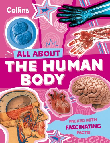 Human Body