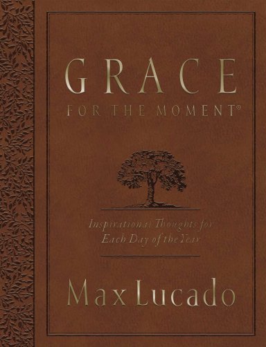 Grace for the Moment Volume I, Large Text Flexcover