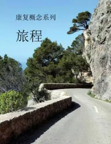 Concepts of Recovery The Journey: (Mandarin Translation)