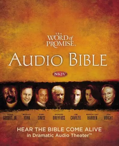 Word of Promise Audio Bible - New King James Version, NKJV: (24) Matthew