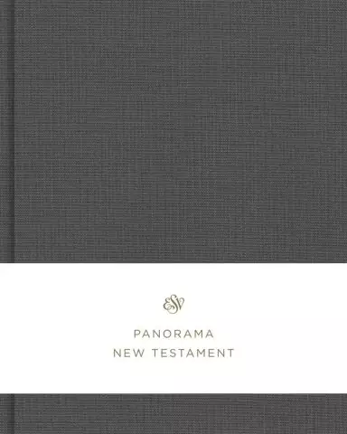 ESV Panorama New Testament (Cloth over Board, Gray)