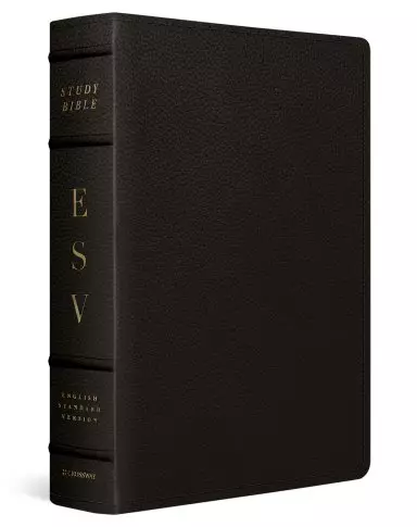 ESV Study Bible, Large Print (Buffalo Leather, Deep Brown)