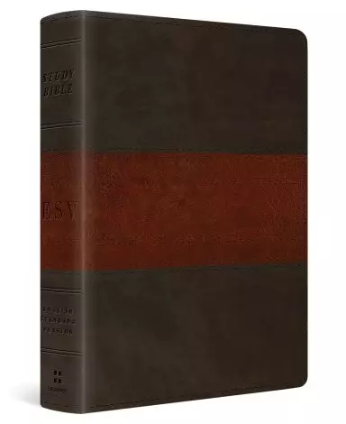 ESV Study Bible, Personal Size (TruTone, Forest/Tan, Trail Design)