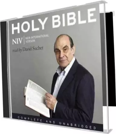 NIV Audio Bible, Grey, MP3 CD