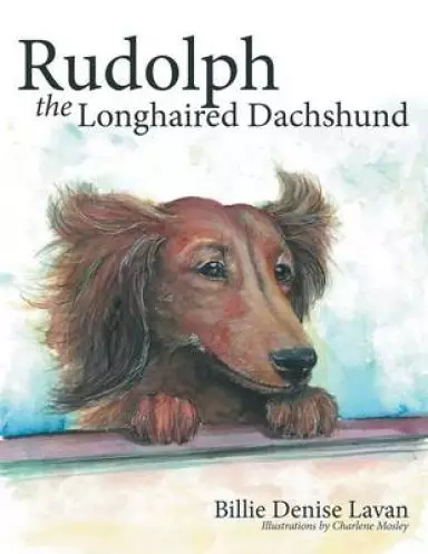Rudolph the Longhaired Dachshund