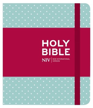 Illustrating Bible NIV Pink