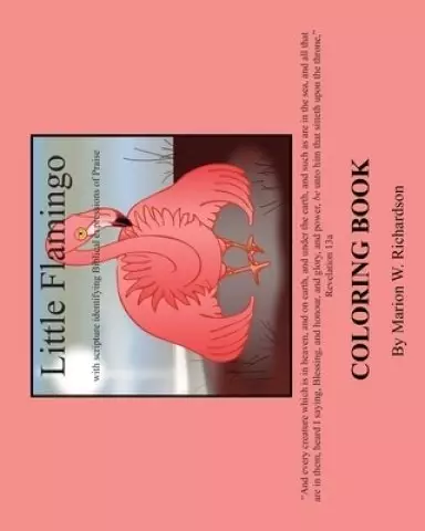 Little Flamingo Coloring Book