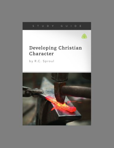 Developing Christian Character, Teaching Series Study Guide