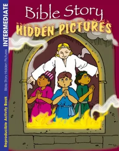 Bible Story Hidden Pictures Activity Book