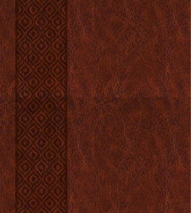 KJV Expressions Bible