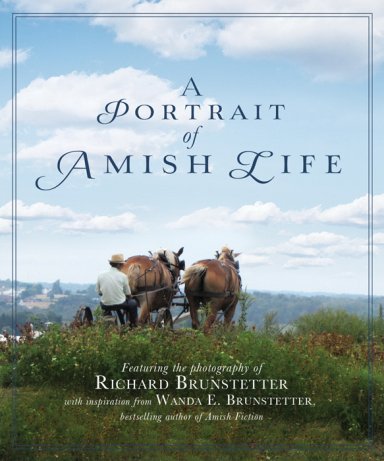 Portrait Of Amish Life