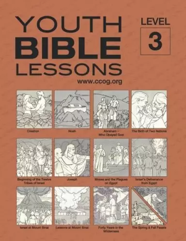 Youth Bible Lessons Level 3
