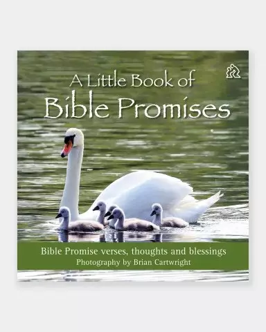 Little Book of Bible Promises, A