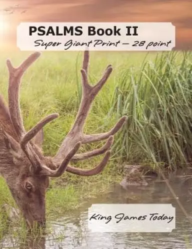 PSALMS Book II Super Giant Print - 28 point: King James Today
