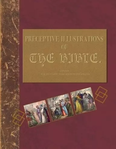 Preceptive Illustrations of the Bible: Understanding the Bibles Through a Tutorial Journal