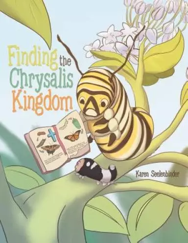 Finding the Chrysalis Kingdom
