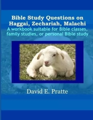 Bible Study Questions on Haggai, Zechariah, Malachi: A workbook suitable for Bible classes, family studies, or personal Bible study