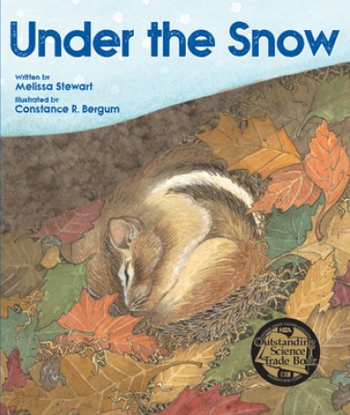 Under The Snow