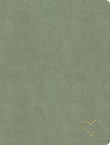 CSB Notetaking Bible, Revive Our Hearts Edition, Sage SuedeSoft LeatherTouch
