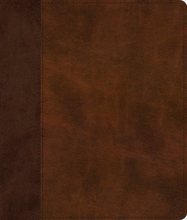 ESV Journaling Bible, Red Letter (TruTone, Brown/Tan, Timeless Design)
