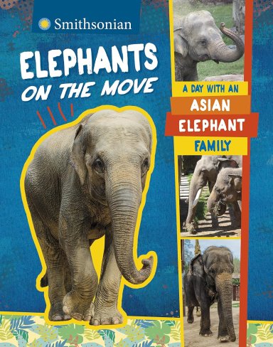 Elephants On The Move